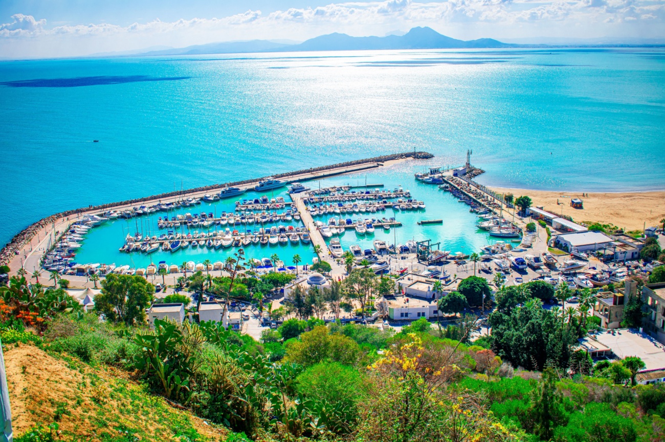 Aerial view of Sidi Bou Said marina and bay